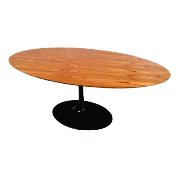Mesa de Jantar Saarinen Tulipa - Oval - 160x90 cm - Madeira Cinamomo - Imagem 2