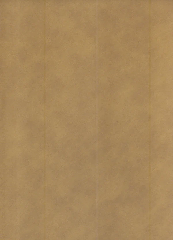 Cadeira de Jantar Yasmin Madeira Natural Tecido Nice 05 - Imagem 4